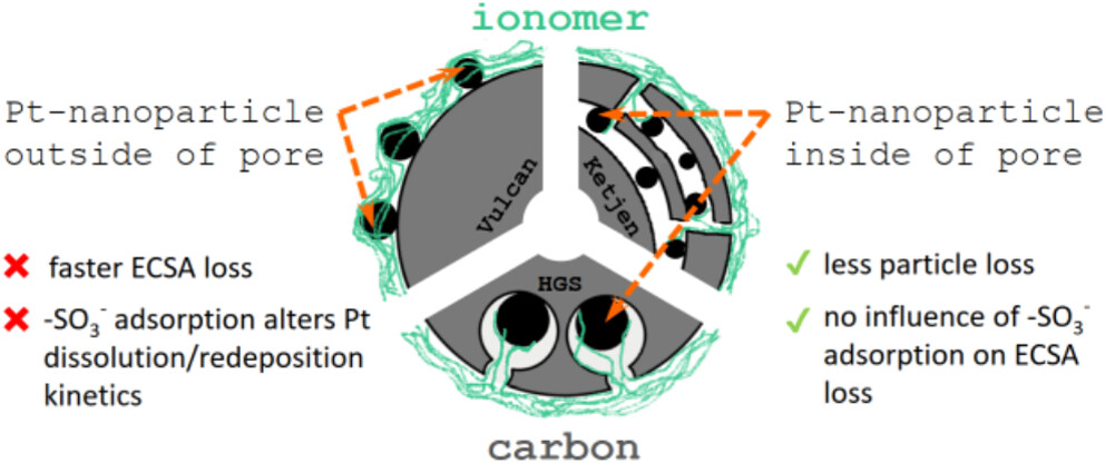 Unravelling the impact of the ionomer on the degradation mechanisms in carbon-supported platinum electrocatalysts: On the path toward durable proton exchange membrane fuel cells