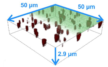 Visualizing potential-induced pitting corrosion of ultrathin single-crystalline IrO2(110) films on RuO2(110)/Ru(0001) under electrochemical water splitting conditions